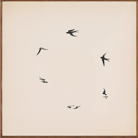 flying birds